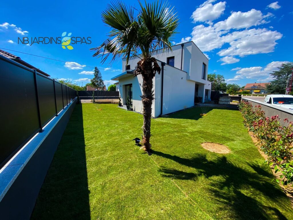 Aménagement paysager jardin avec pelouse et palmier Wittelsheim