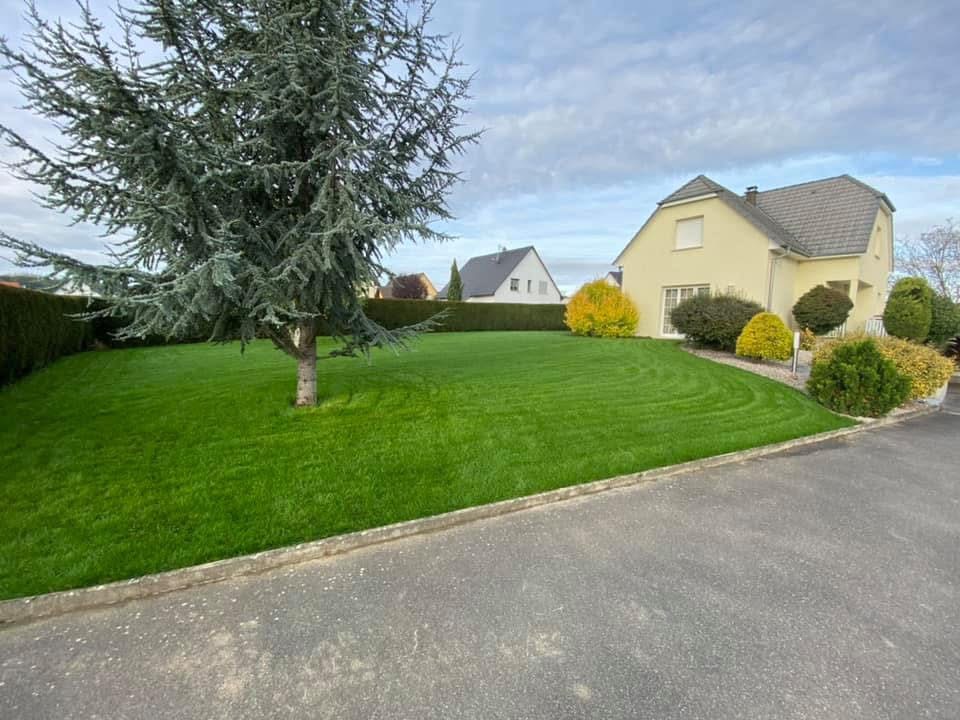 Aménagement paysager jardin terminé avec pelouse et massifs à Wittelsheim